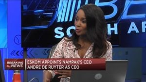 Eskom names Nampak’s  Andre de Ruyter as CEO