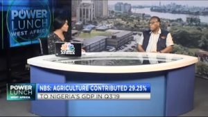 Nigeria’s agricultural sector performance review