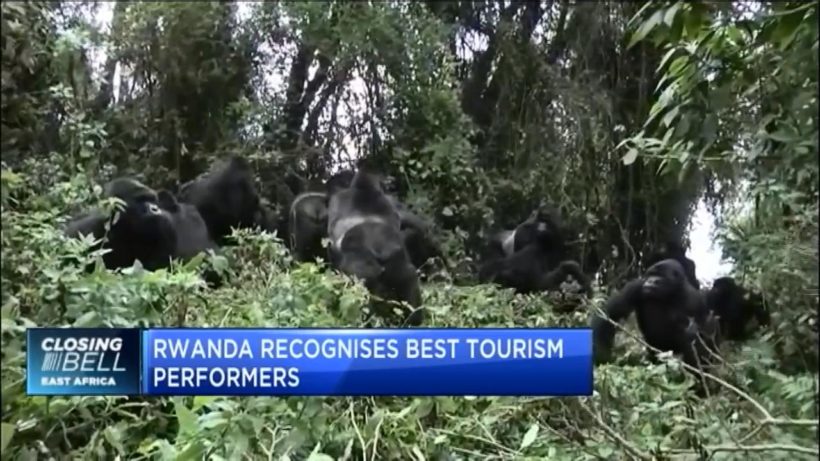 Top performers honoured at the Rwanda Tourism Awards