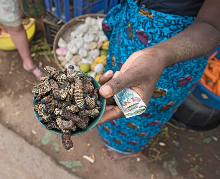 This project in Africa promotes edible insects, here&#8217;s why
