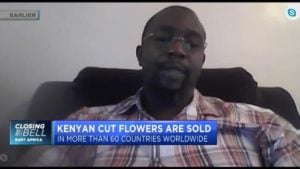 What’s behind Kenya’s 60% drop in flower production?