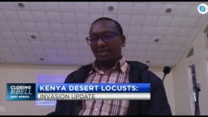 Desert locust invasion threatens food security in Kenya