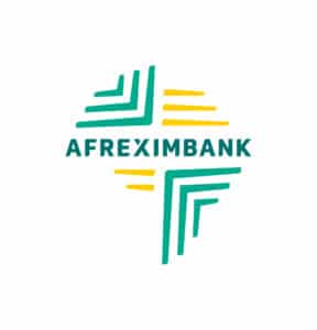 Afreximbank commits $400 mln to Mozambique LNG project