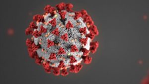 Coronavirus may push 150 million people into extreme poverty: World Bank