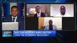 2021: How the agriculture sector can drive Nigeria’s economic recovery