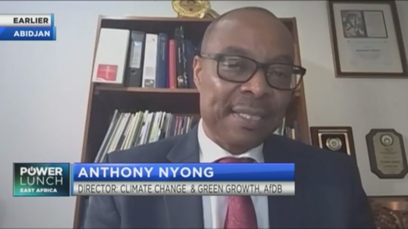 AfDB’s Nyong on how to finance Africa&#8217;s climate adaptation &#038; green recovery