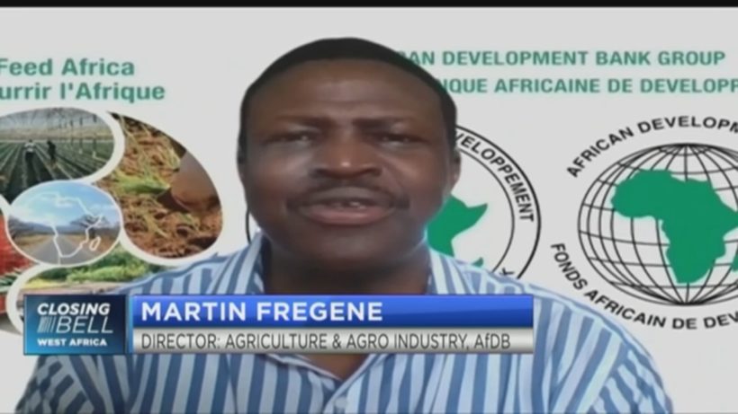 AfDB’s Fregene on how big data can drive the future of Africa’s agriculture