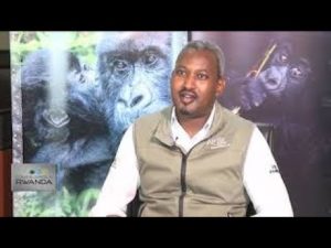 The economics of conservation in Rwanda