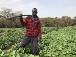 Africa must fast-track adoption of proven and sustainable solutions to survive food crisis